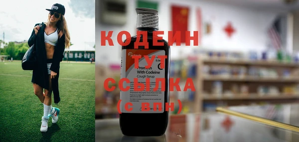a pvp Инсар