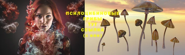 герыч Инта