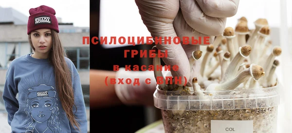 a pvp Инсар